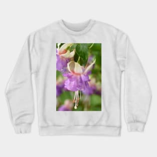 Fuchsia 'Prince George' Crewneck Sweatshirt